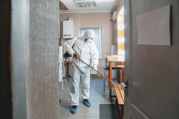 Best Environmental Consulting for Mold Prevention  in Bloomfield Hills, MI