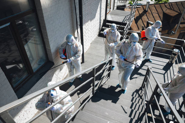 Best Real Estate Mold Inspection  in Bloomfield Hills, MI