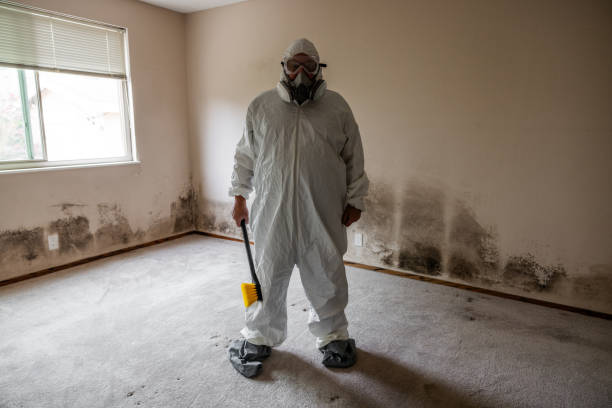 Best Mold Odor Removal Services  in Bloomfield Hills, MI